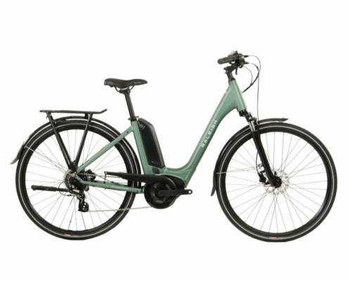 Raleigh Motus Lowstep Derailleur Hybrid e-Bike - 2023 - 50cm