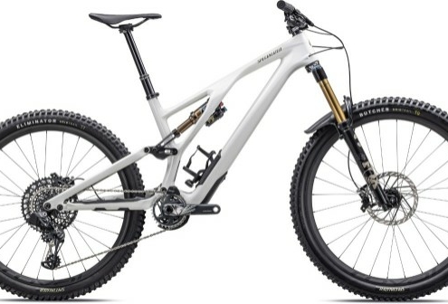 Specialized Stumpjumper EVO Pro - Nearly New – XL